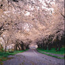 雨の公園5