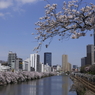 花日和