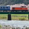 桜咲く八東川×DD16