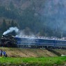 C12 167を狙う撮り鉄