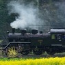 春色の汽車に乗って
