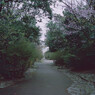 小路