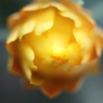 優花ー４