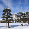 雪吊りと城