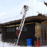 絆