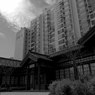 新旧融合