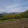 2015-04-24-12-15-41_photo