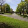 2015-04-24-12-19-56_photo