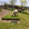 2015-04-24-12-24-33_photo
