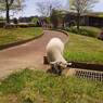 2015-04-24-12-25-16_photo