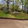 2015-04-24-12-25-51_photo