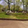 2015-04-24-12-26-15_photo