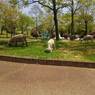 2015-04-24-12-26-40_photo