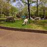 2015-04-24-12-26-43_photo