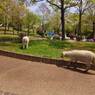 2015-04-24-12-27-16_photo
