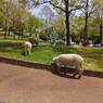 2015-04-24-12-27-18_photo
