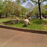 2015-04-24-12-27-48_photo