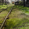 春の津軽鉄道