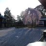 夕暮れの枯山水・・・枝垂れ桜　Ⅲ