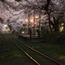 夜桜　津軽鉄道　芦野公園駅より