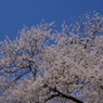 蒼空へ