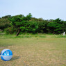 『弥彦山頂公園』