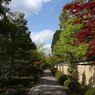 空と樹と