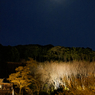 月あかり