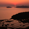 土谷の棚田夕景2