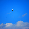 277_SKY