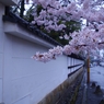 雨降るひと時