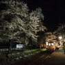 芦野公園駅　夜桜❀