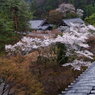 鳩の気分　Ⅱ