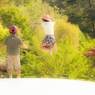 JUMP!