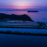 納所2015.05.01_1901-2