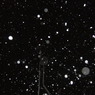 よりによって大雪の日