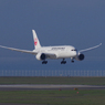 Dreamliner　JA833J