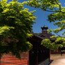 初夏の頃 (2)