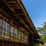 初夏の頃 (4)