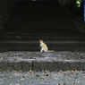 また来るよ