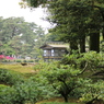 兼六園＠2015GW