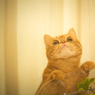 上が気になる