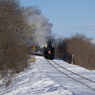 IMGP2550