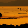 夕暮れの英虞湾 Ⅱ