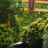 川越氷川神社1