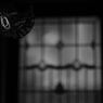 過去の光り