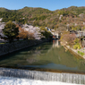 京らしい支流