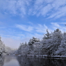 雪の雲場池