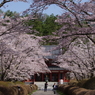 蓼科山聖光寺