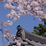 鬼瓦もお花見